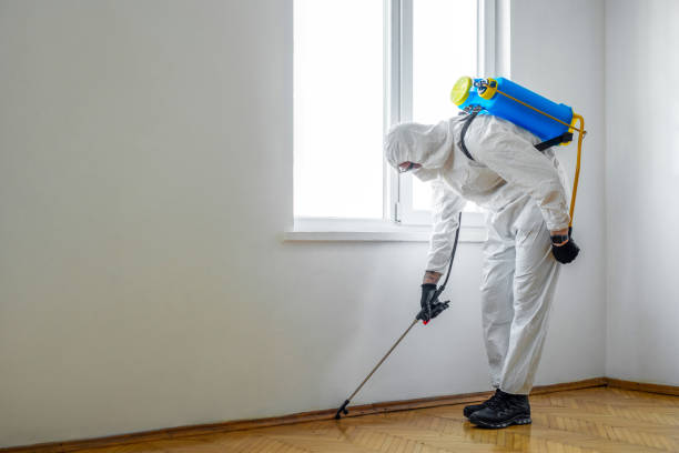 Pest Control for Warehouses in Holly Lake Ranch, TX